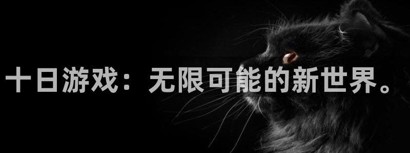 杏悦娱乐是什么平台公司