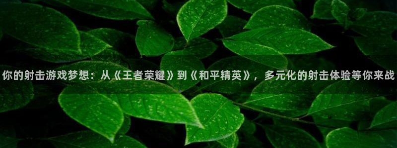 杏悦娱乐注册地址查询官网：你的射击游戏梦想：从《王者荣耀》到