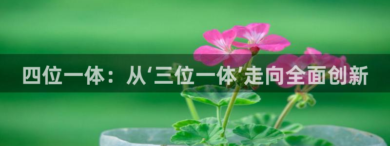 杏悦娱乐是什么平台公司：四位一体：从‘三位一体’走向全面创新