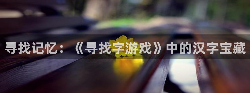 杏悦是什么平台：寻找记忆：《寻找字游戏》中的汉字宝藏