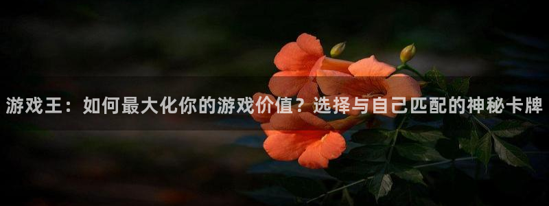 杏悦平台注册：游戏王：如何最大化你的游戏价值？选择与自己匹配