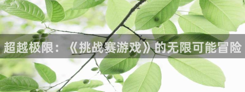 杏悦1登录地址：超越极限：《挑战赛游戏》的无限可能冒险