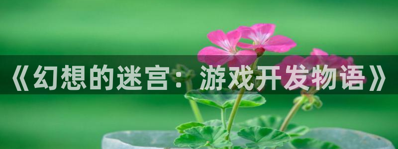 杏悦娱乐代理注册地址