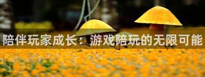 杏悦娱乐注册平台有哪些：陪伴玩家成长：游戏陪玩的无限可能