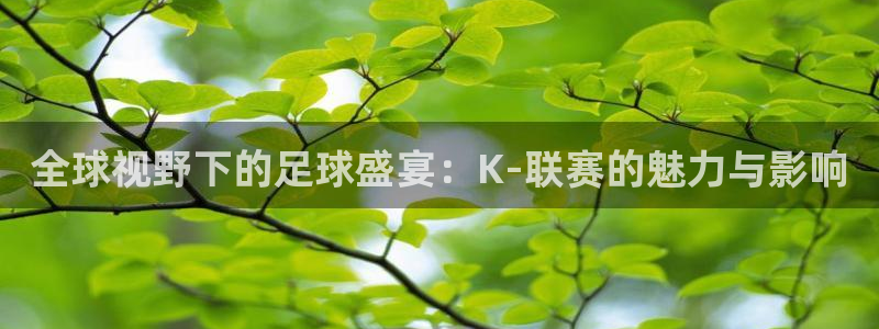 飞速看球直播：全球视野下的足球盛宴：K-联赛的魅力与影响