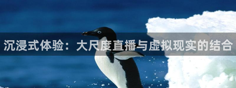 飞速体育高清直播：沉浸式体验：大尺度直播与虚拟现实的结合