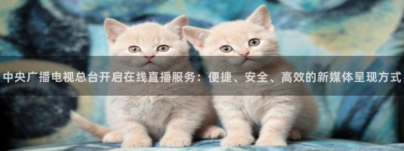 飞速体育nba直播在线：中央广播电视总台开启在线直播服务：便捷、安全、高效的新媒体呈现方式