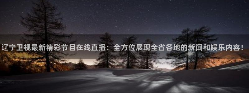 飞速直播体育篮球：辽宁卫视最新精彩节目在线直播：全方位展现全省各地的新闻和娱乐内容！