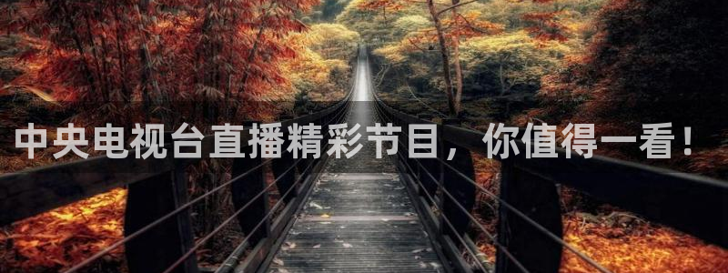 飞速直播nba直播无插件：中央电视台直播精彩节目，你值得一看！