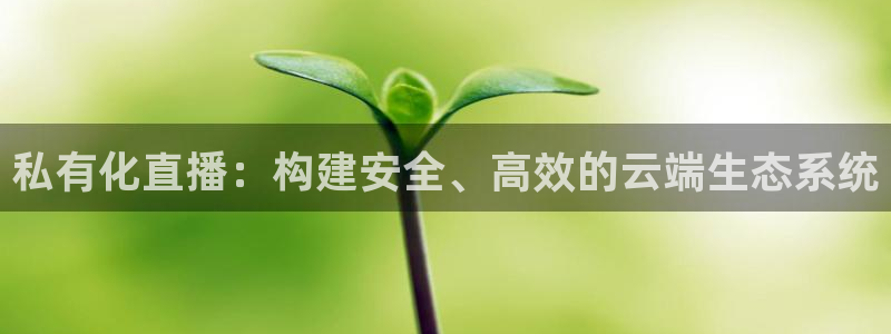 足球直播飞速：私有化直播：构建安全、高效的云端生态系统