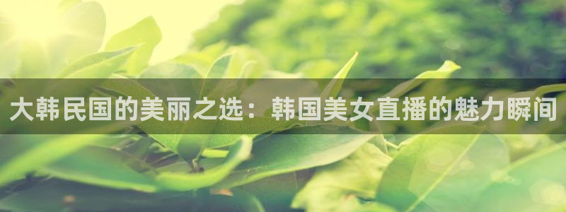 nba无插件飞速直播：大韩民国的美丽之选：韩国美女直播的魅力瞬间