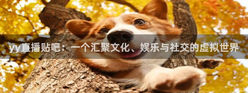 低调看直播jrs飞速直播：yy直播贴吧：一个汇聚文化、娱乐与社交的虚拟世界