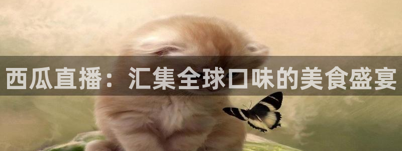 飞速nba直播吧：西瓜直播：汇集全球口味的美食盛宴