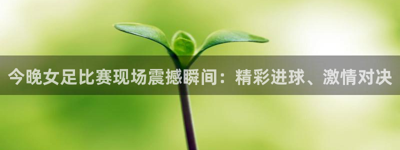 飞速直播体育无插件：今晚女足比赛现场震撼瞬间：精彩进球、激情对决