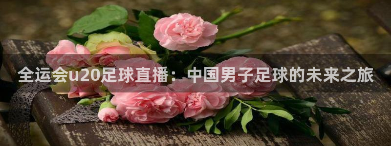飞速直播nba直播：全运会u20足球直播：中国男子足球的未来之旅